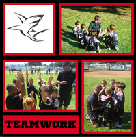 Mighty Mini's Coach/Team Album