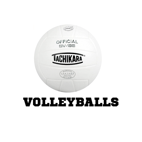 Hand Painted Volleyball