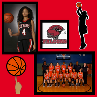 Girls Basketball 312