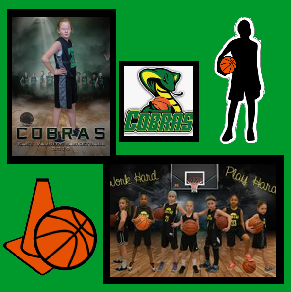 Girls Basketball 313