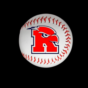 Custom Hand Painted Baseball for Individual Team Member