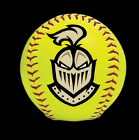 Custom Hand Painted Softball for Individual Accomplishment
