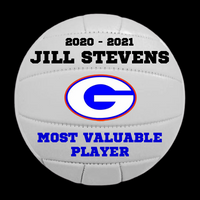 Custom Hand Painted Volleyball for Team Accomplishment