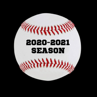 Custom Hand Painted Baseball for Individual Team Member
