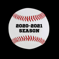 Custom Hand Painted Baseball for Individual Team Member